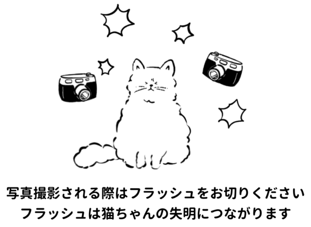 猫を撮影する際はフラッシュを切ってください。フラッシュは猫の失明につながります。猫とカメラのイラスト。