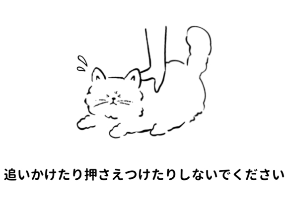猫を追いかけたり押さえつけたりしないでください。猫に手を伸ばす人のイラスト。