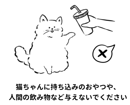 猫に持ち込みのおやつや人間の飲み物などを与えないでください。飲み物を差し出す手と猫のイラスト。