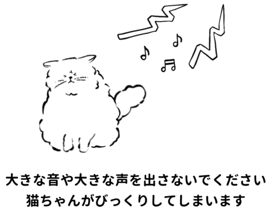 大きな音や大きな声を出さないでください。猫がびっくりしてしまいます。驚いた猫のイラスト。