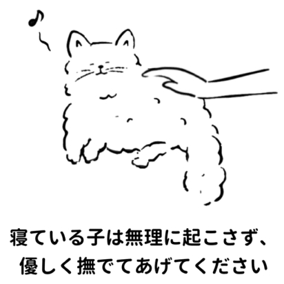 寝ている猫は無理に起こさず、優しく撫でてあげてください。撫でられている猫のイラスト。