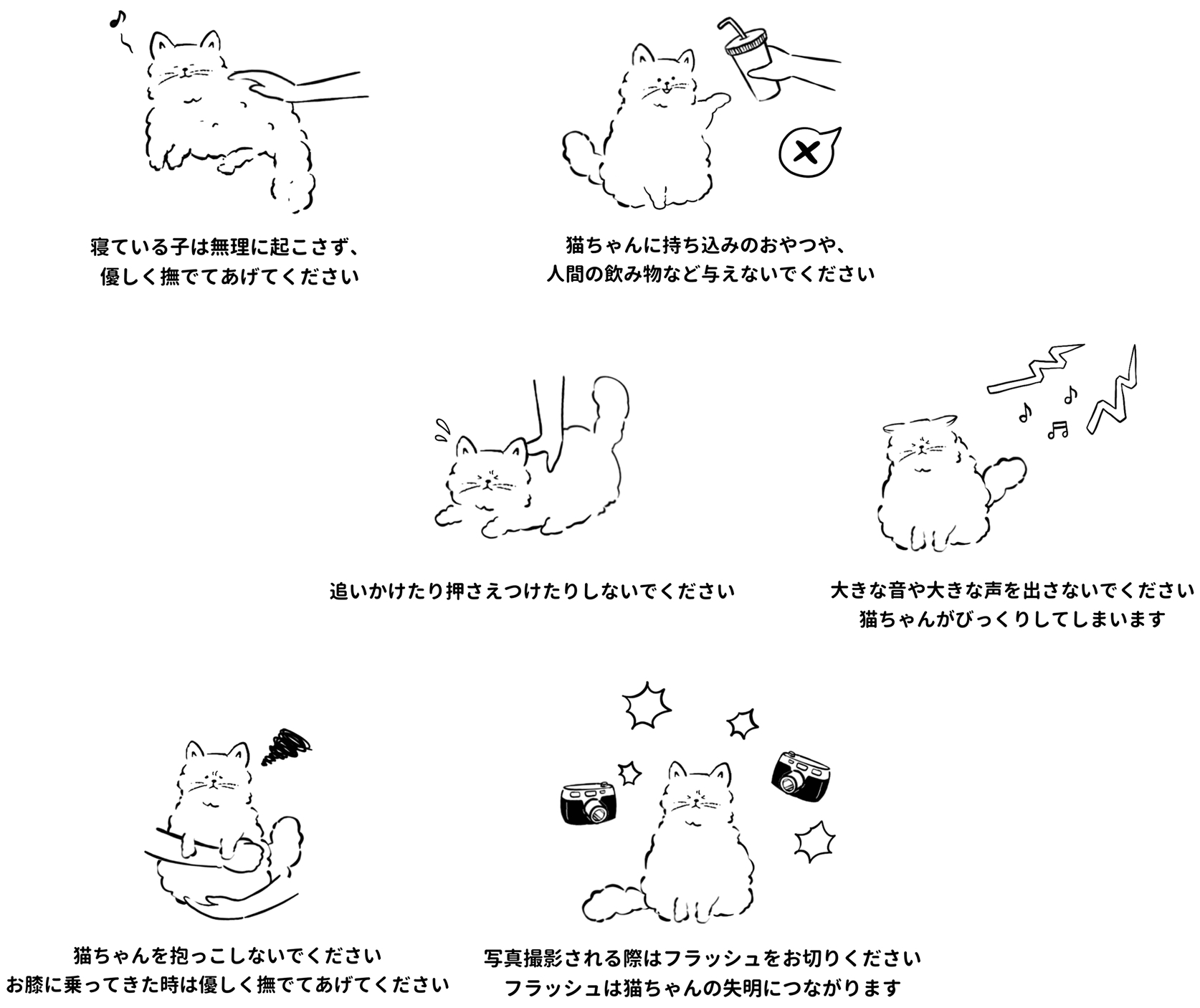 猫カフェのルール6項目。寝ている猫を無理に起こさず優しく撫でる。持ち込みのおやつや人間の飲み物を与えない。追いかけたり押さえつけたりしない。大きな音や声を出さない。抱っこせず、膝に乗った猫は優しく撫でる。撮影時はフラッシュを切る。
