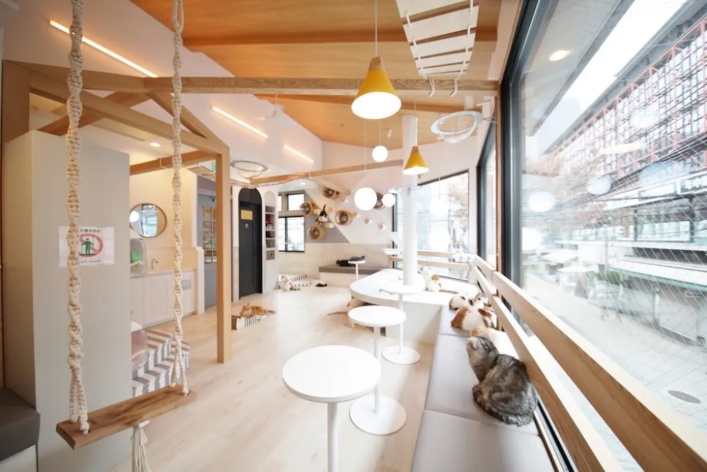 ブランコや丸テーブルが並ぶ2F猫カフェの店内