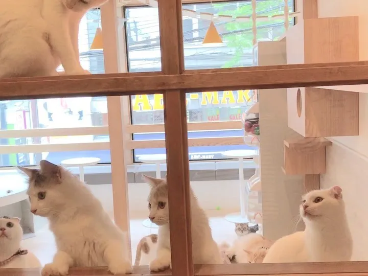 投稿の写真4