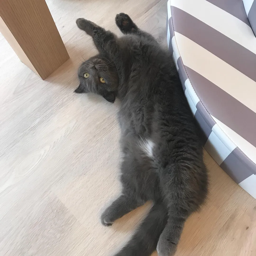 投稿の写真4