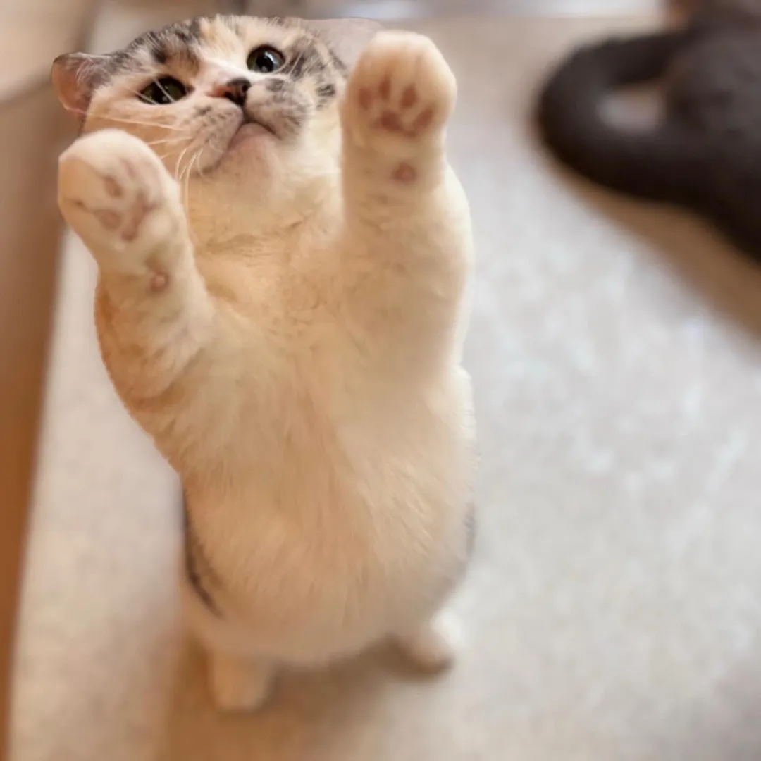 投稿の写真1