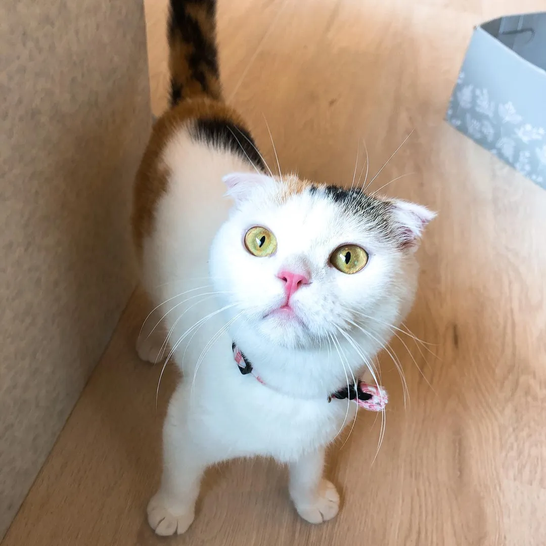 投稿の写真4