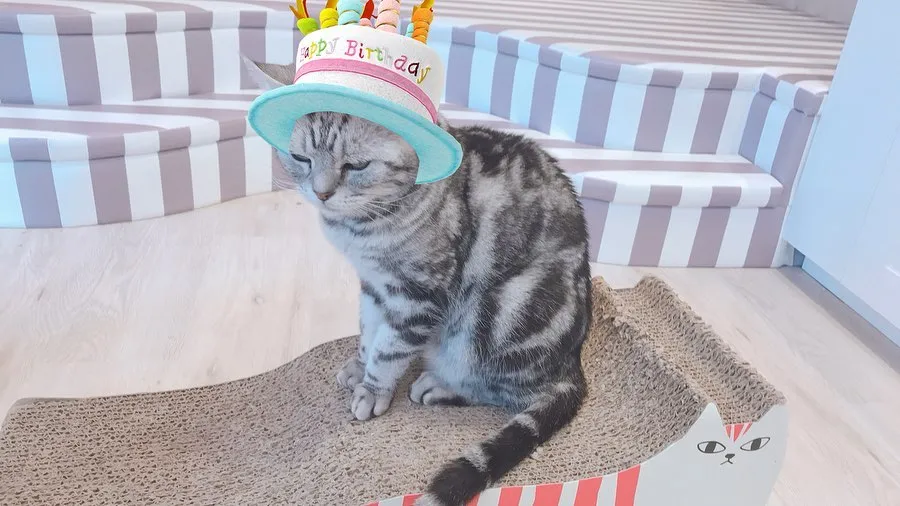 投稿の写真2