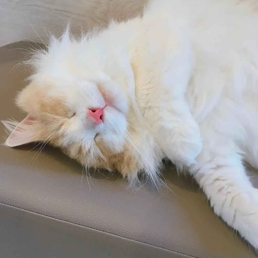 投稿の写真2