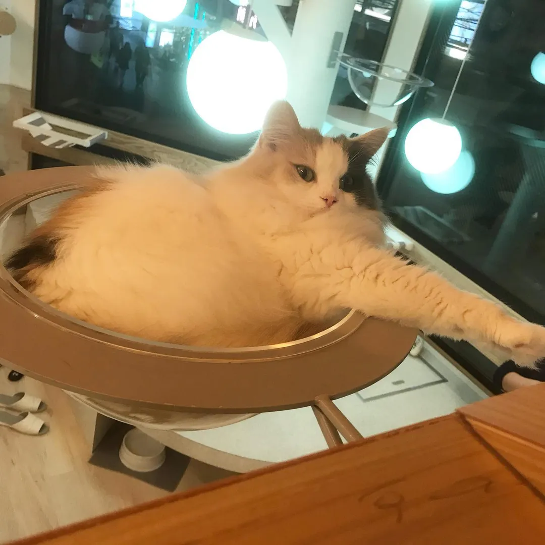 投稿の写真3