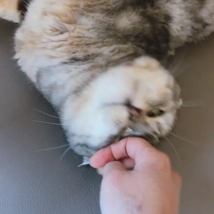 投稿の写真5