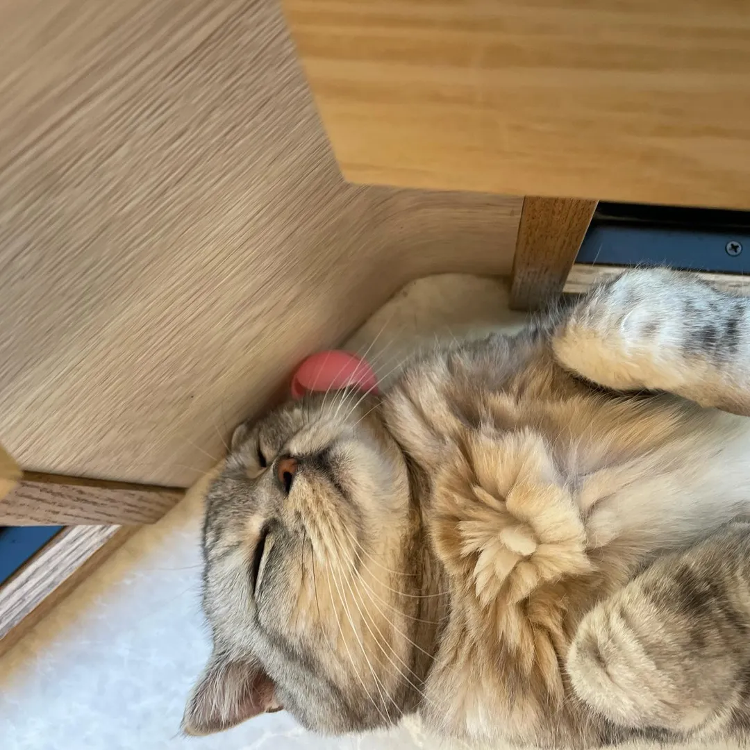 投稿の写真4