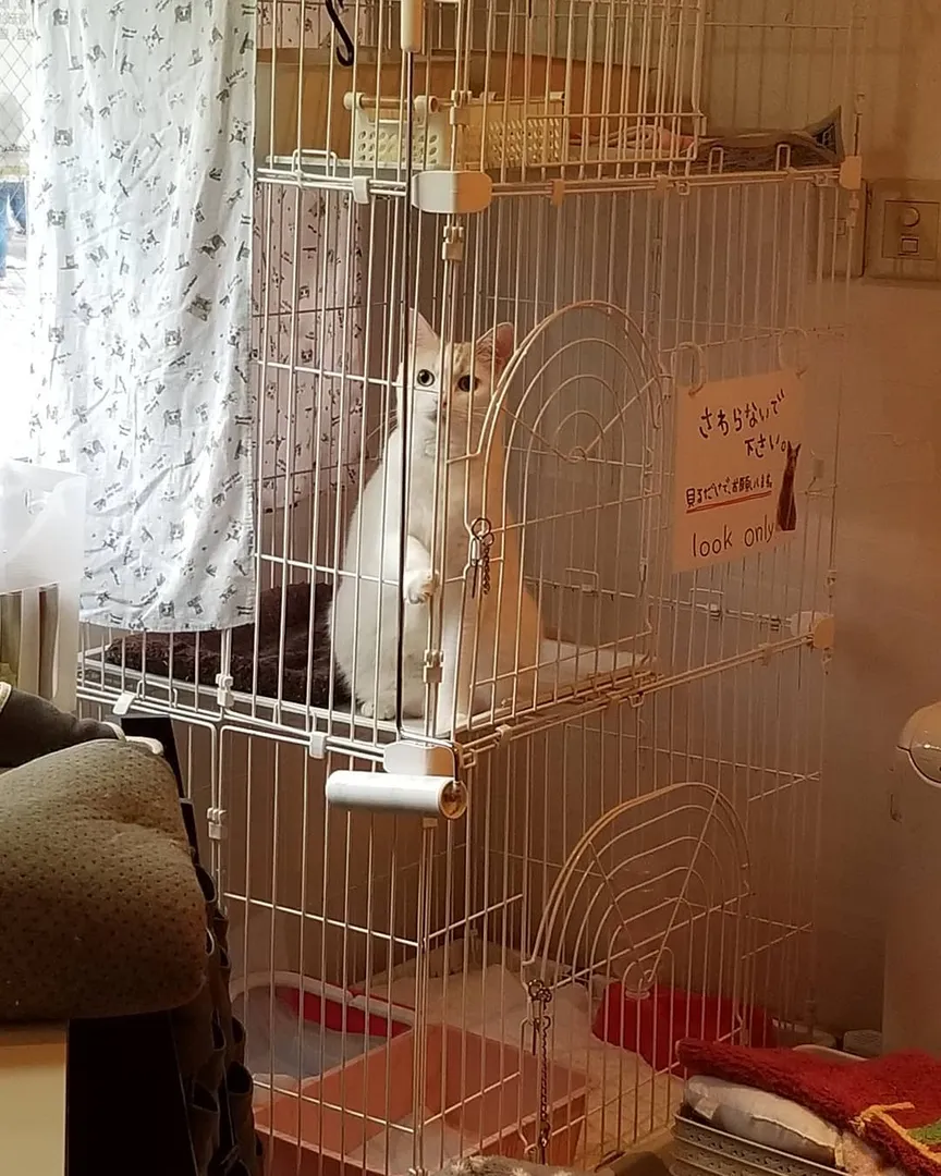 投稿の写真2