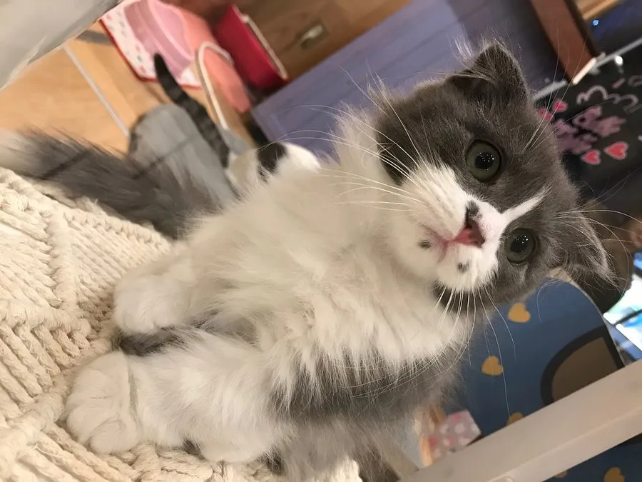 投稿の写真9