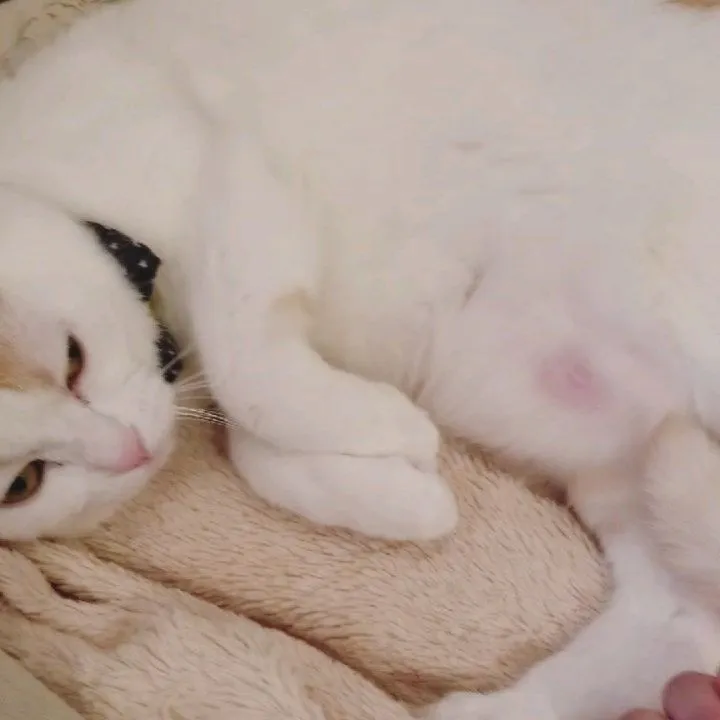 投稿の写真2