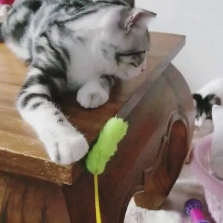 投稿の写真2