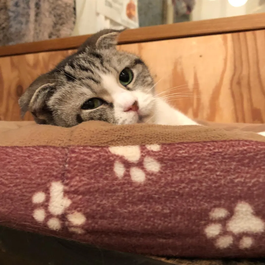 投稿の写真2