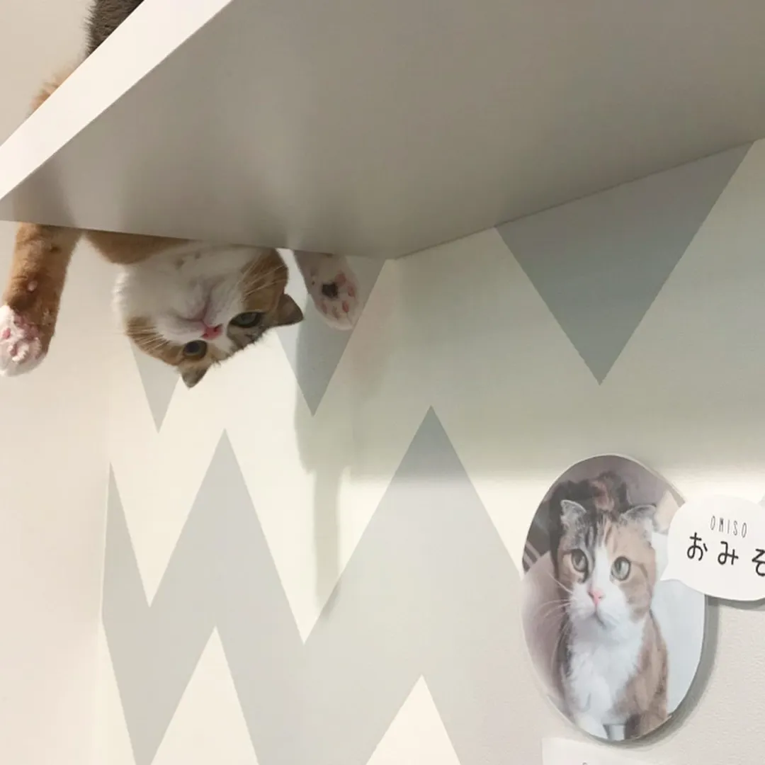 投稿の写真2