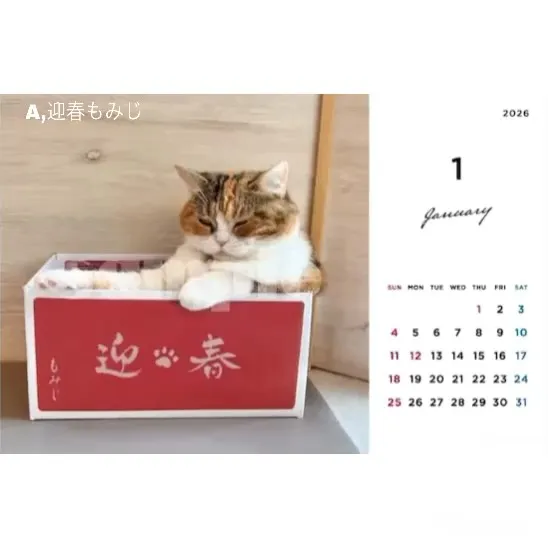 投稿の写真3