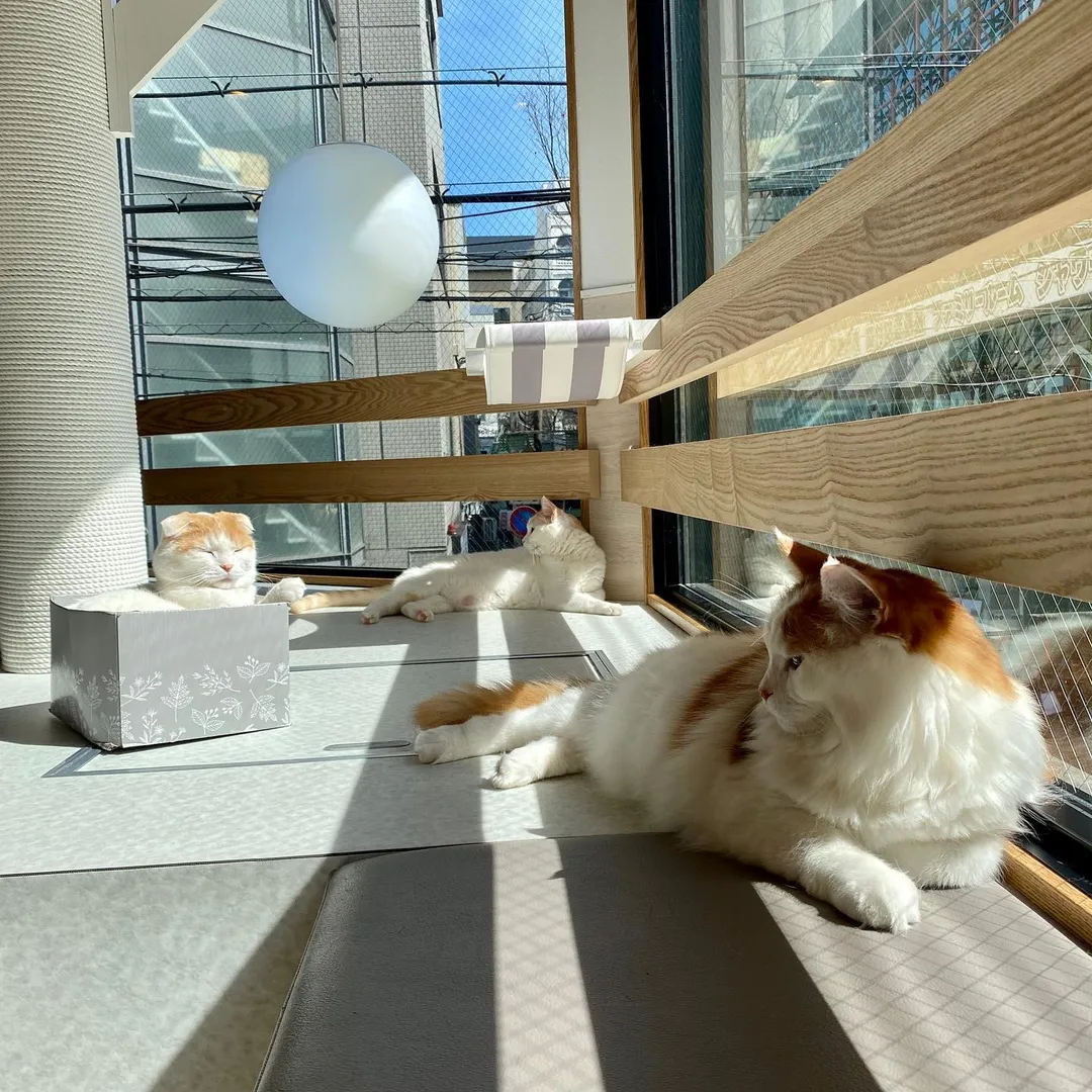投稿の写真4