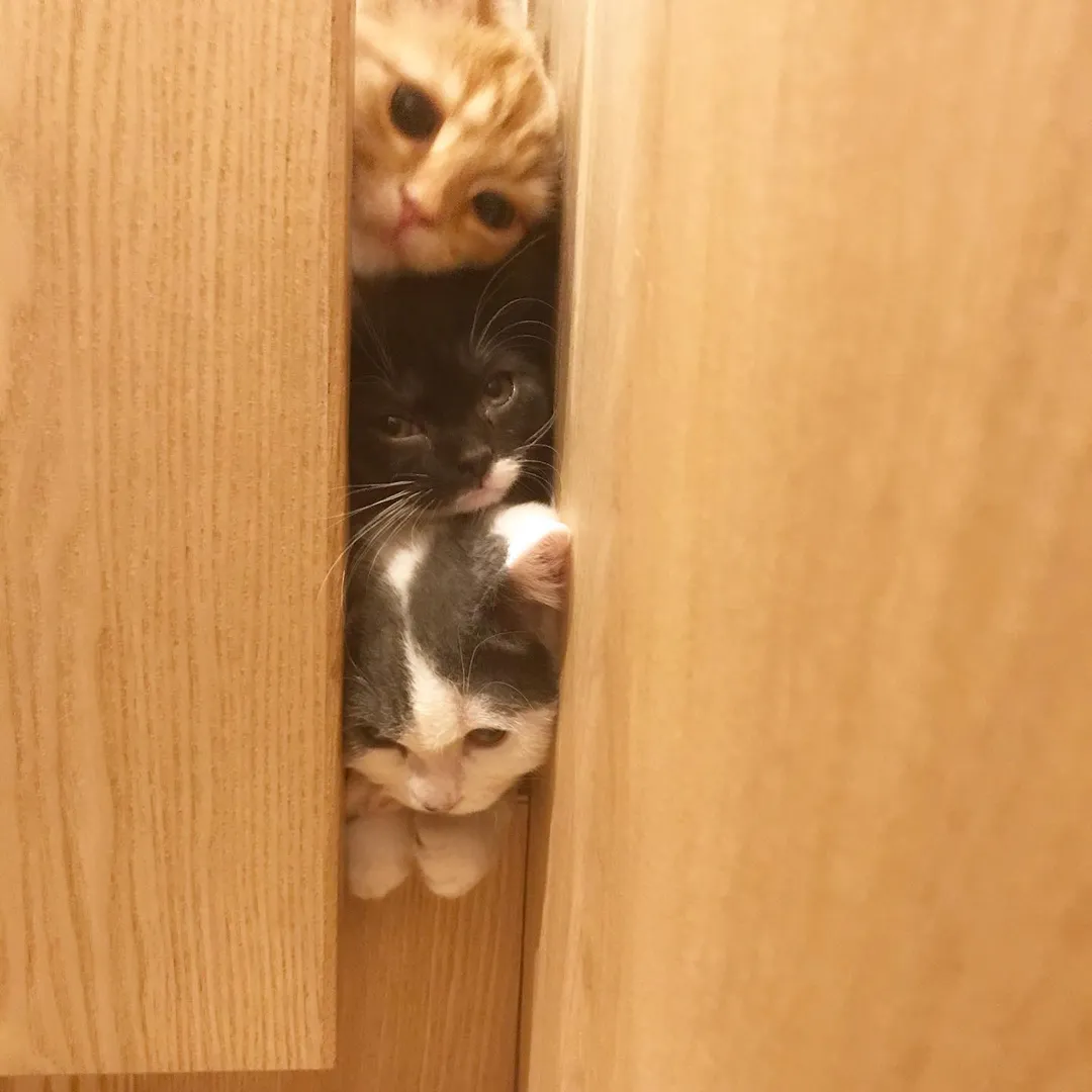 投稿の写真2