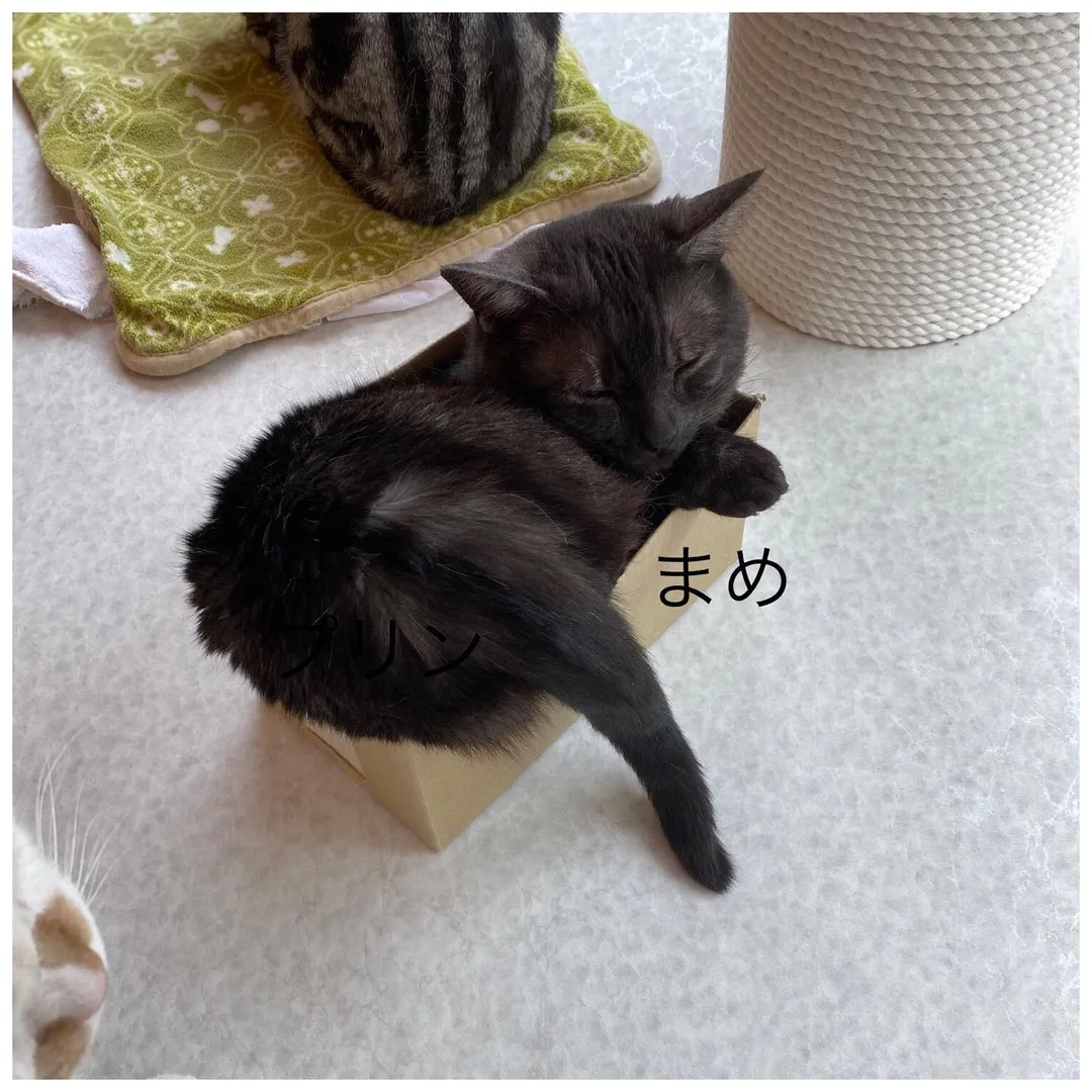 投稿の写真4