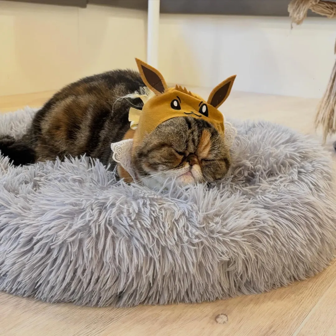 投稿の写真5