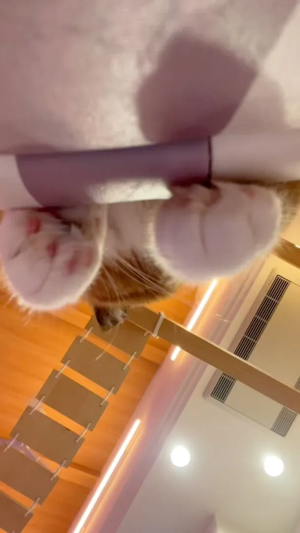 投稿の写真
