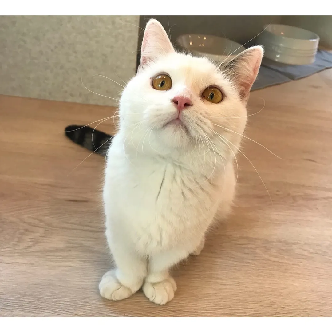 投稿の写真3