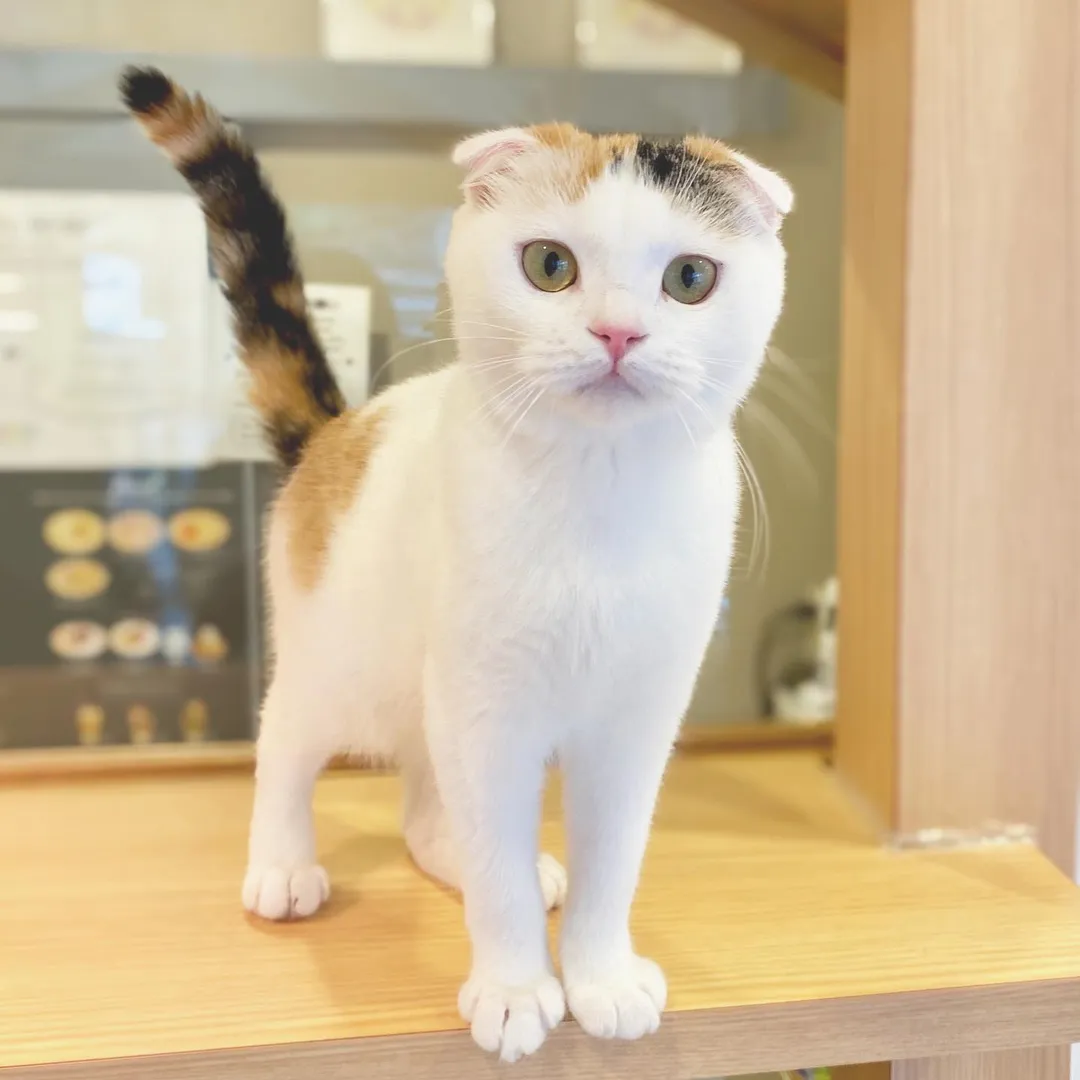 投稿の写真
