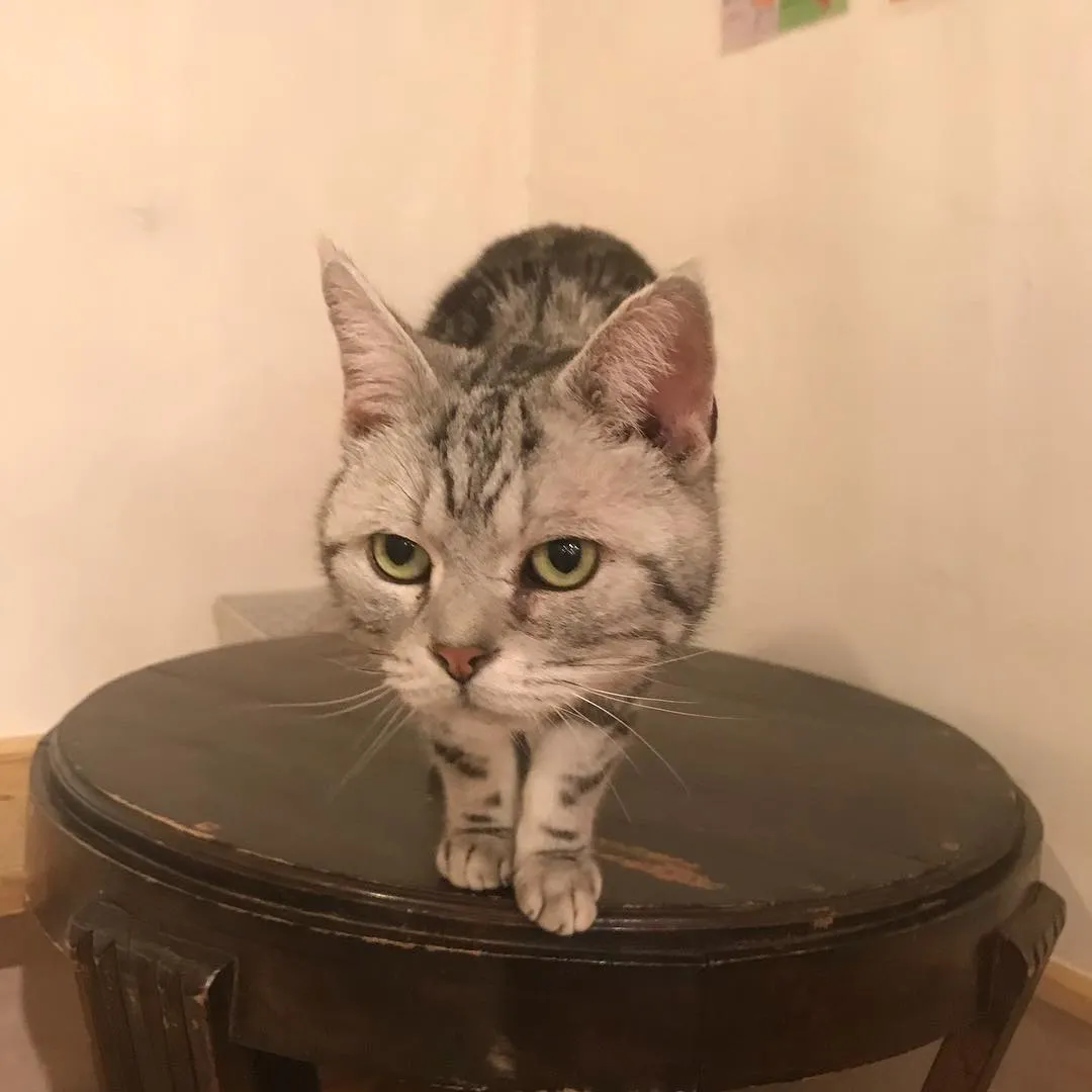 投稿の写真3