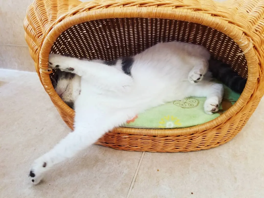 投稿の写真2