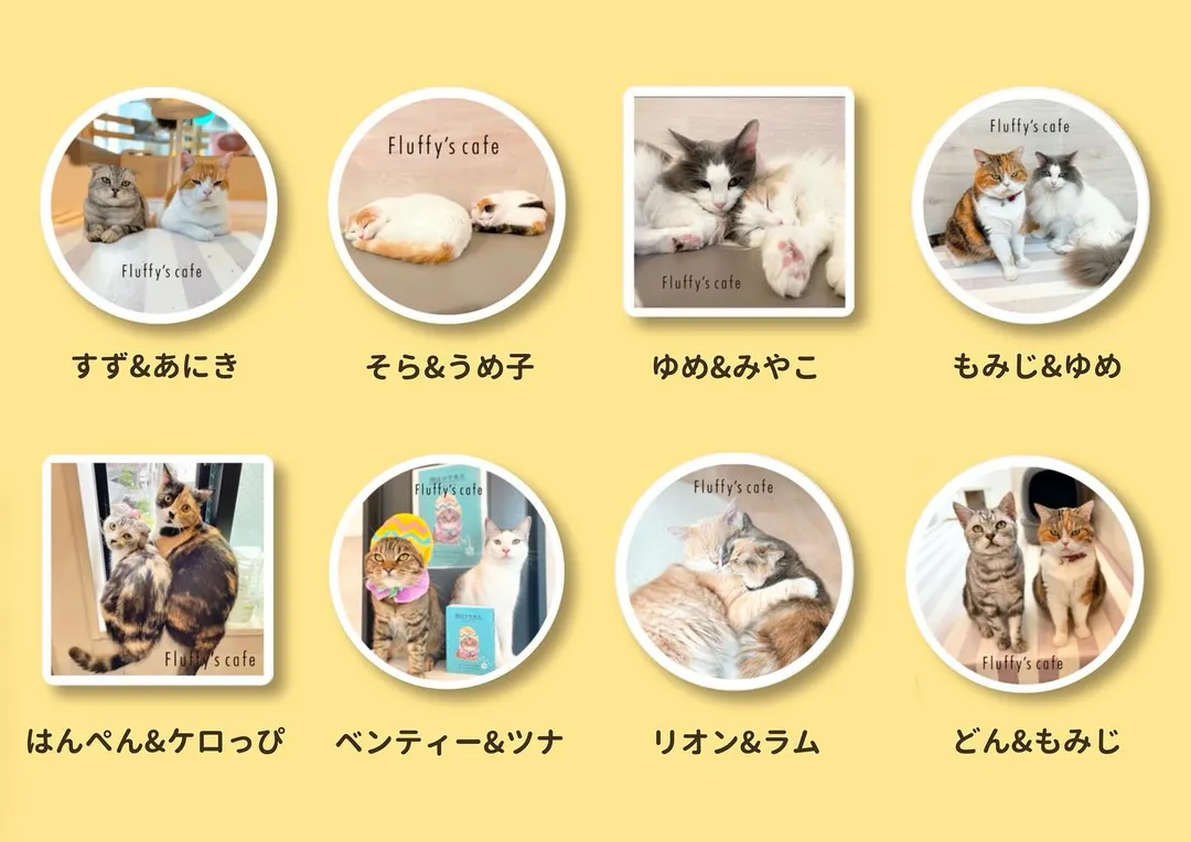 投稿の写真2