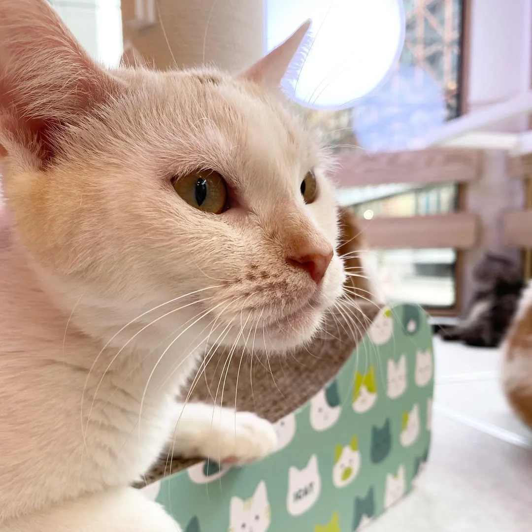 投稿の写真1