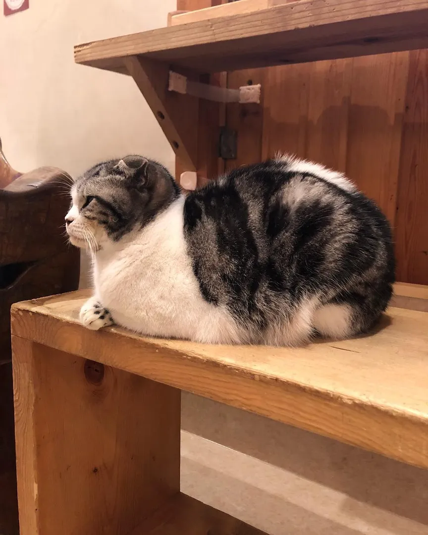 投稿の写真6