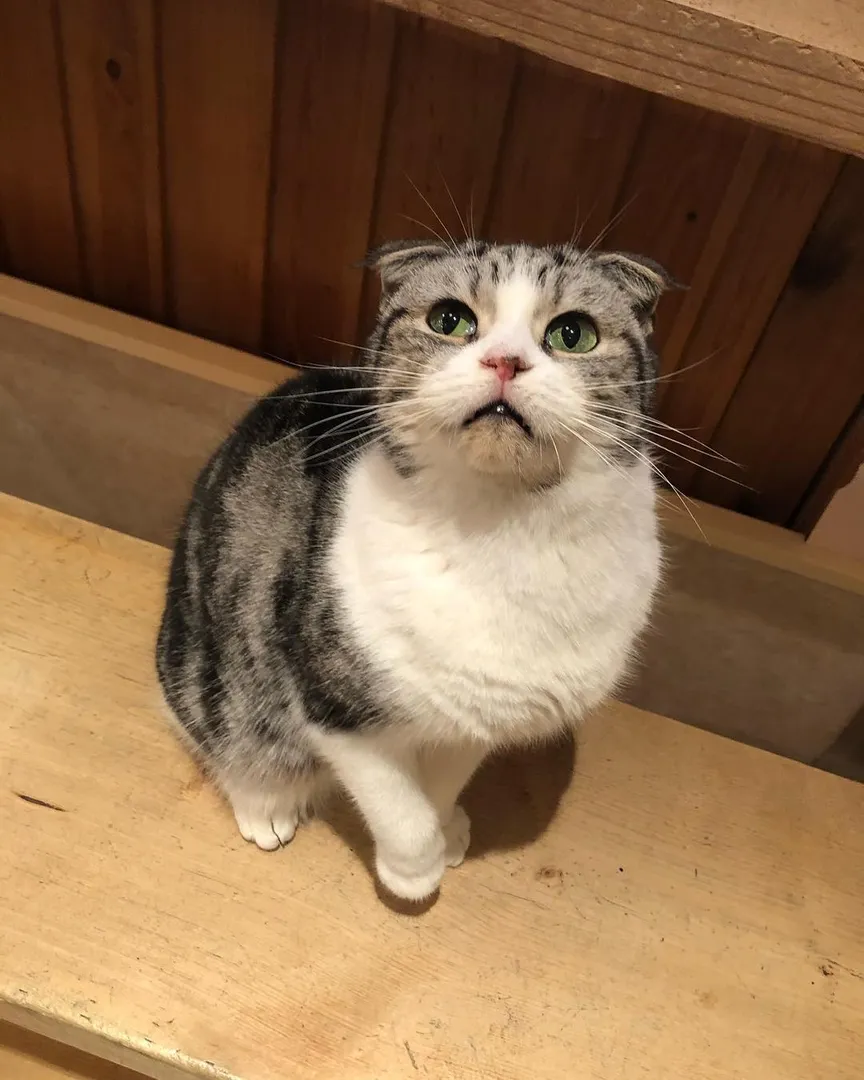 投稿の写真2