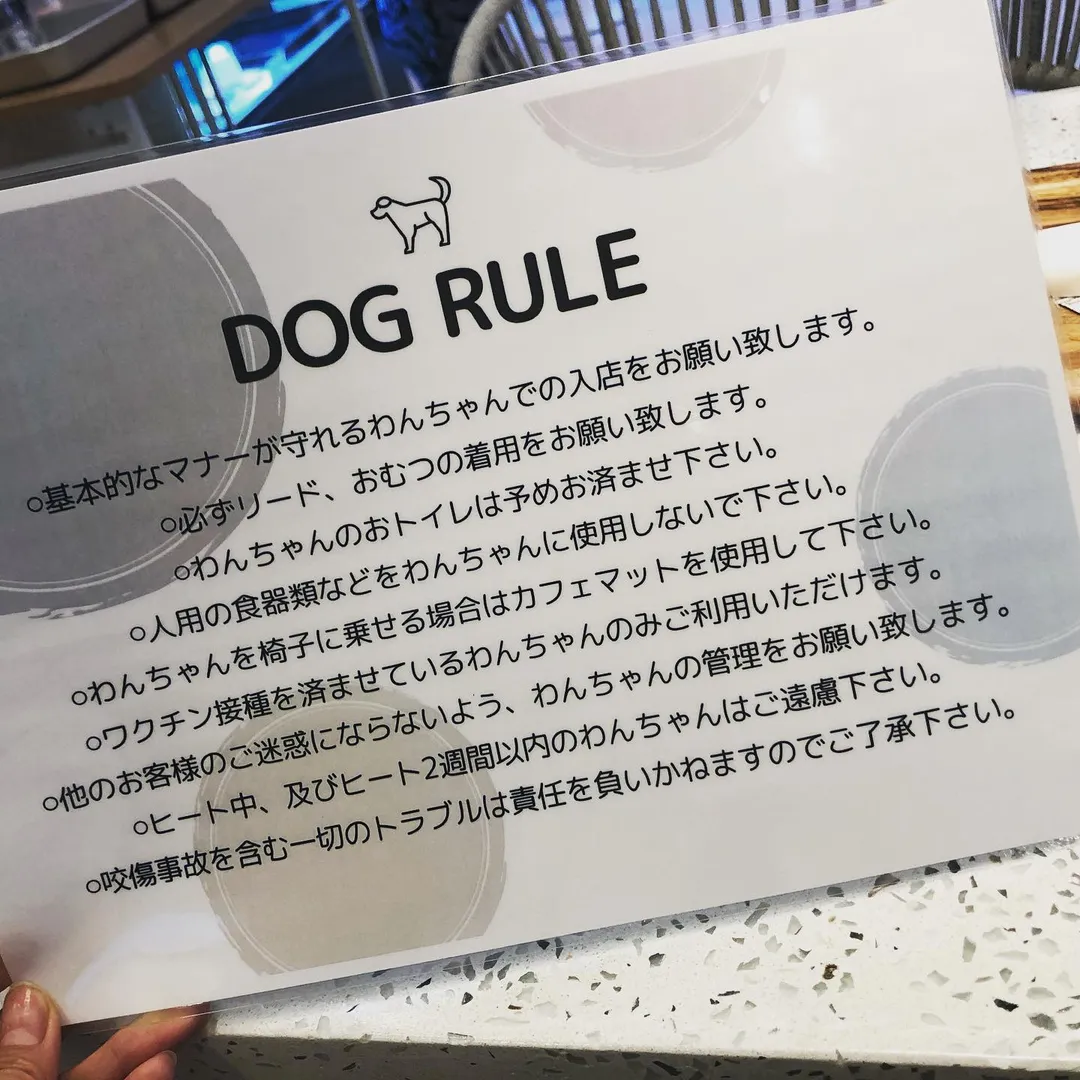 投稿の写真4