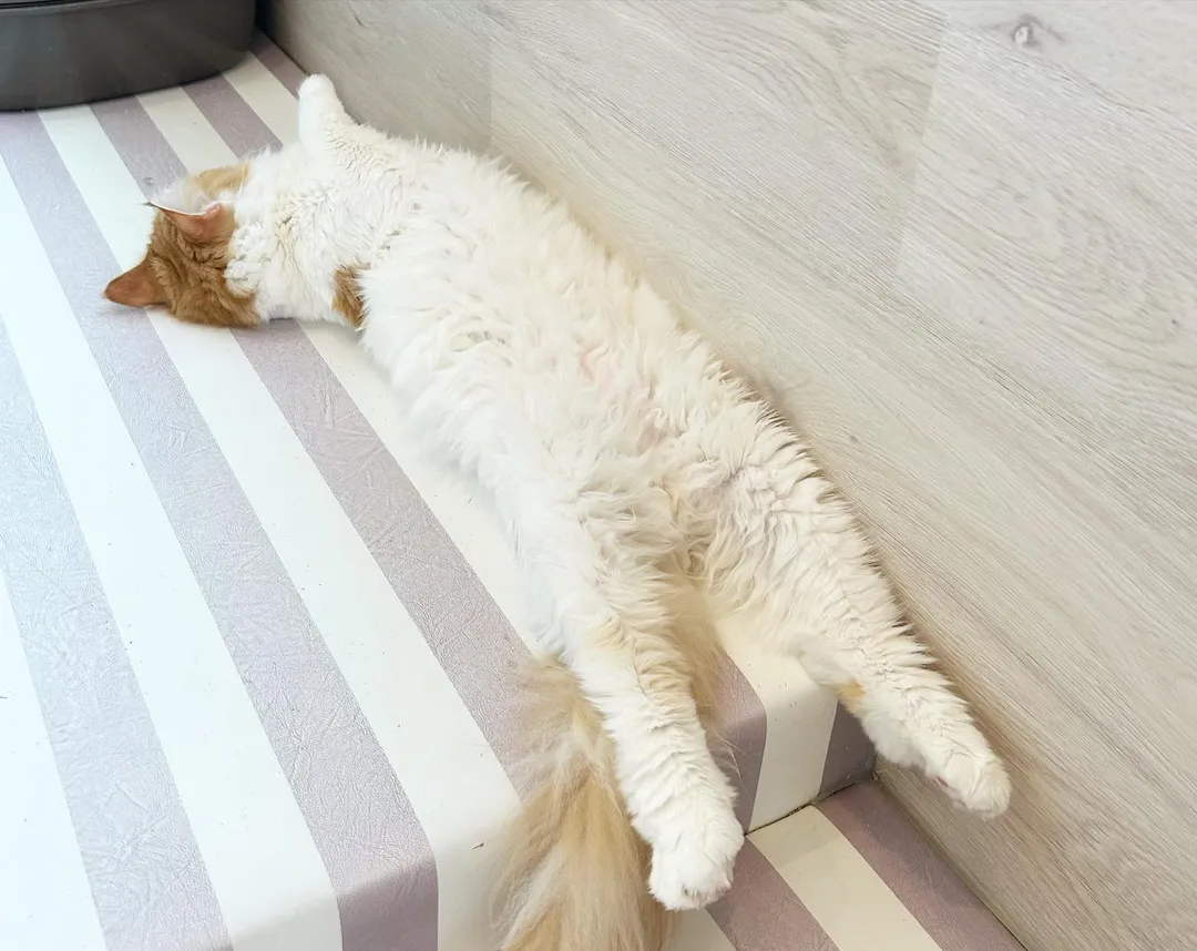 投稿の写真3