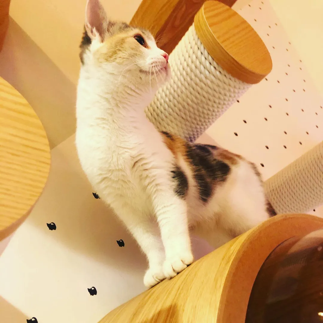 投稿の写真3