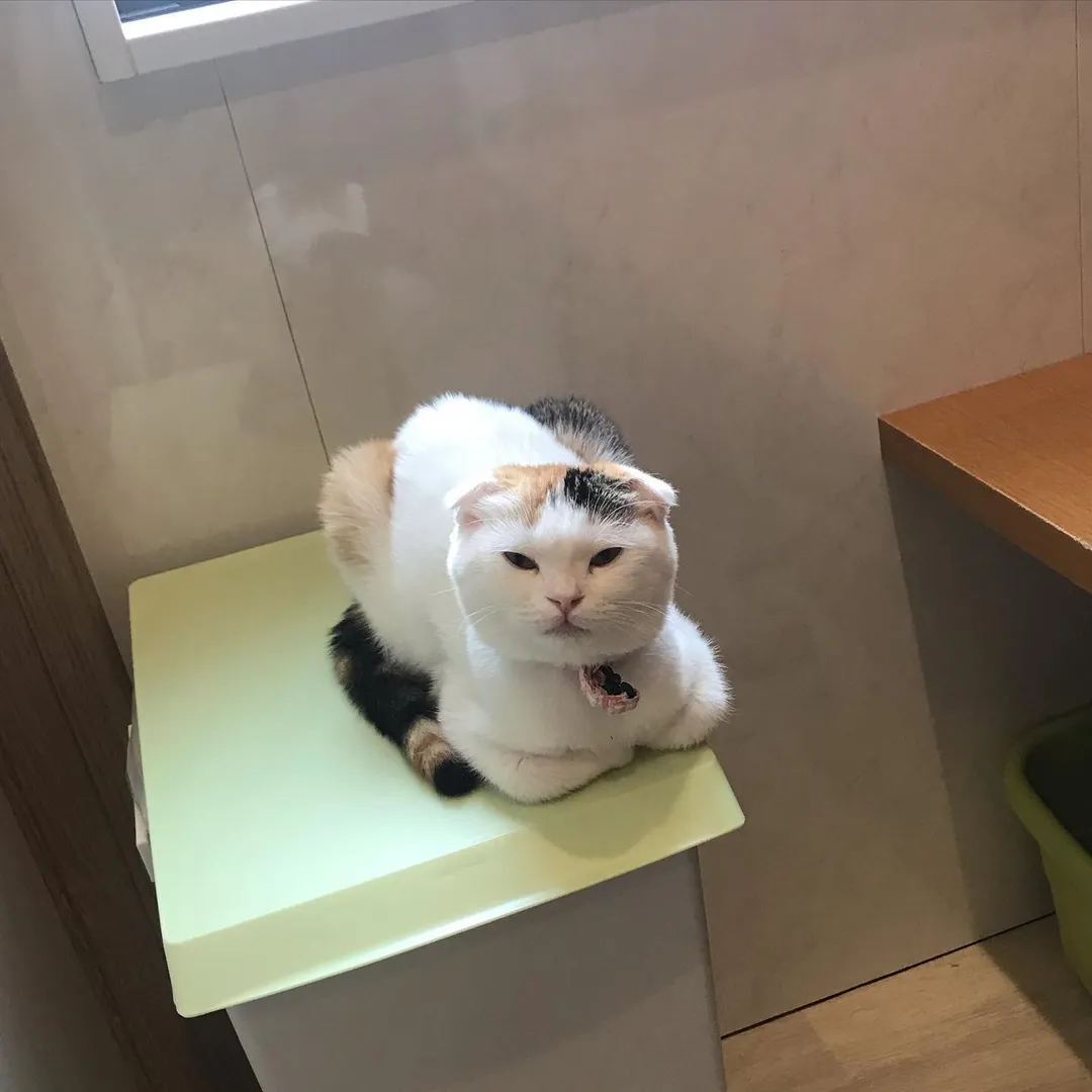 投稿の写真7