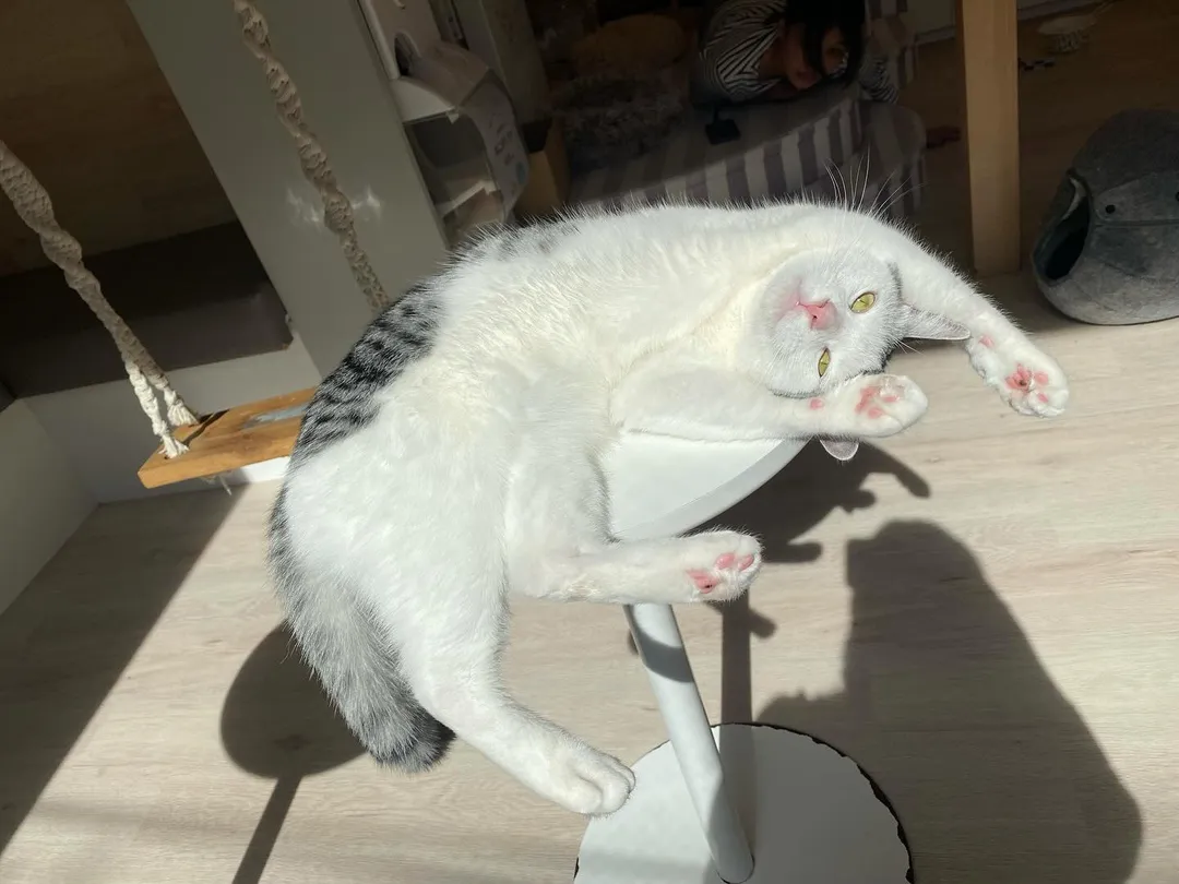 投稿の写真4