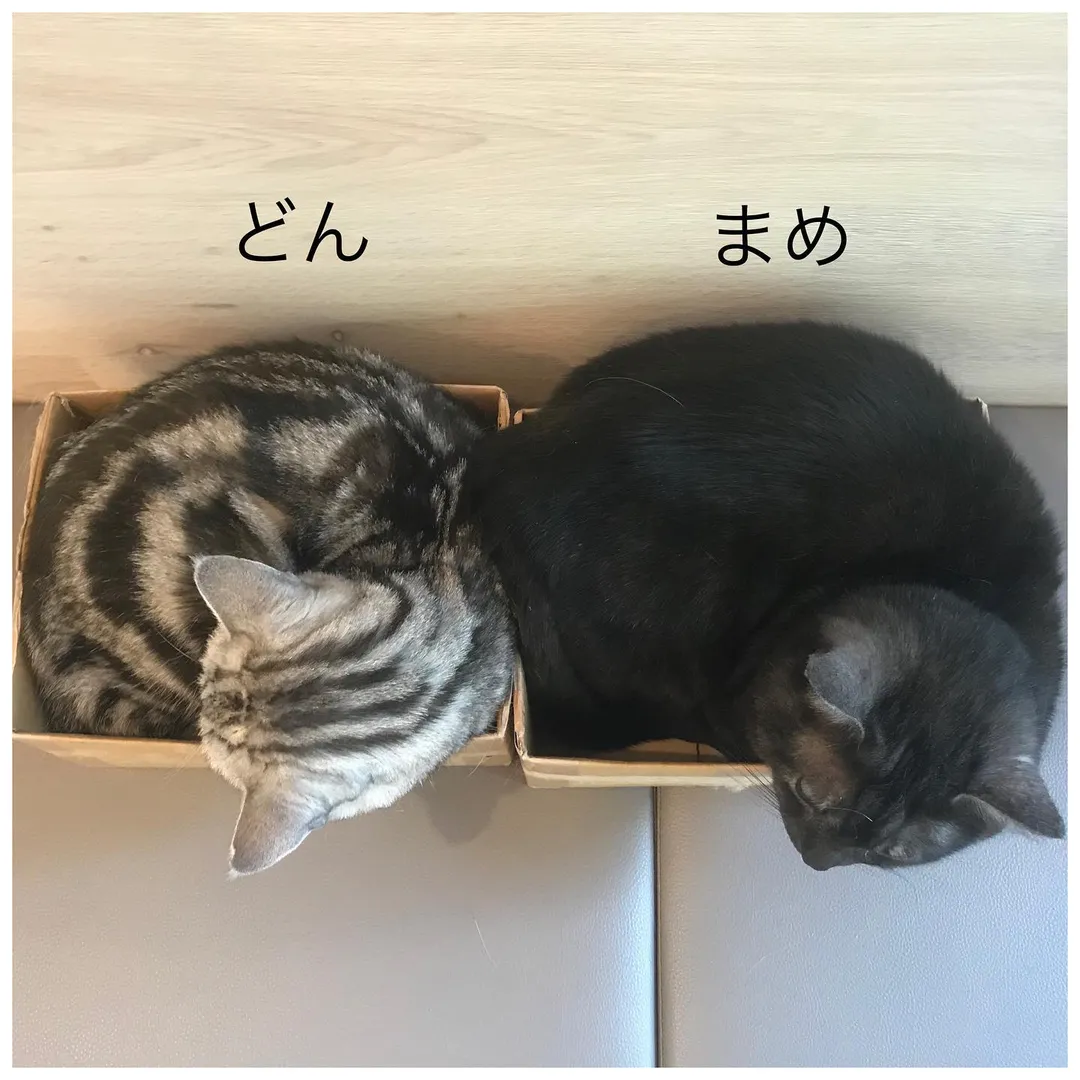 投稿の写真5