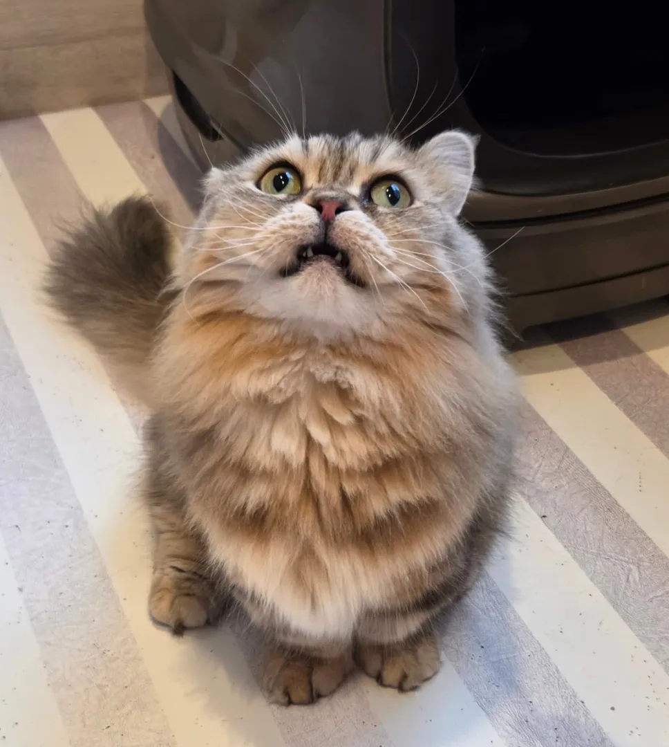 投稿の写真3