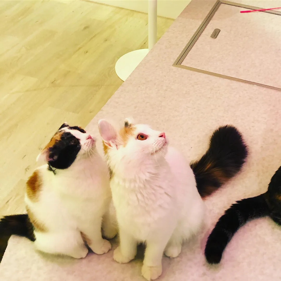 投稿の写真3