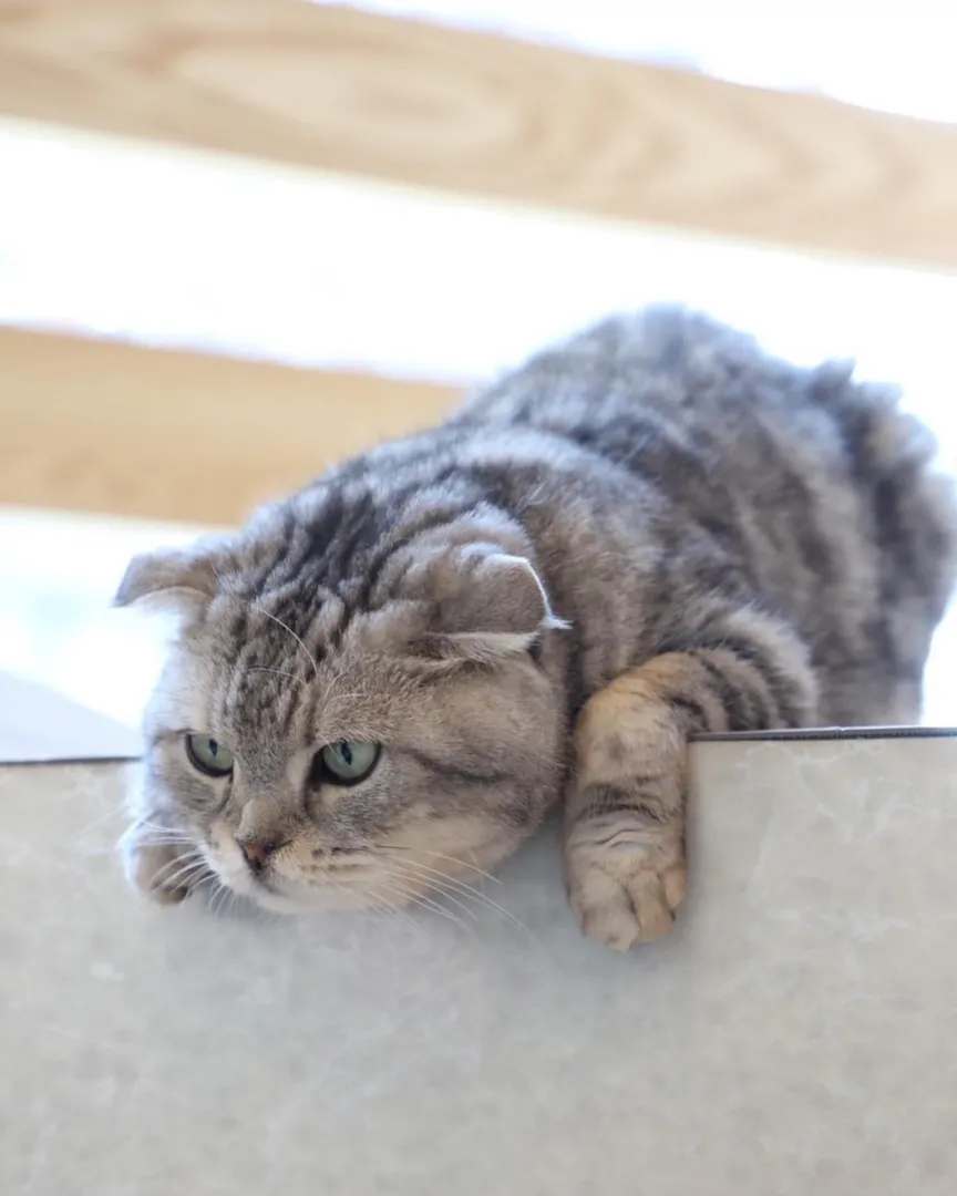 投稿の写真2