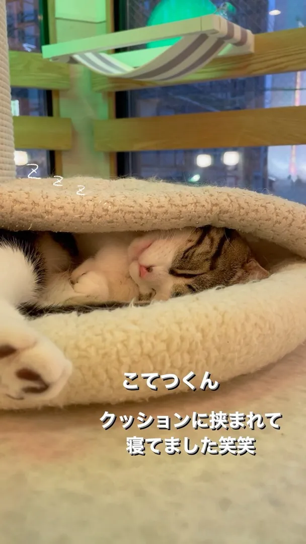 投稿の写真