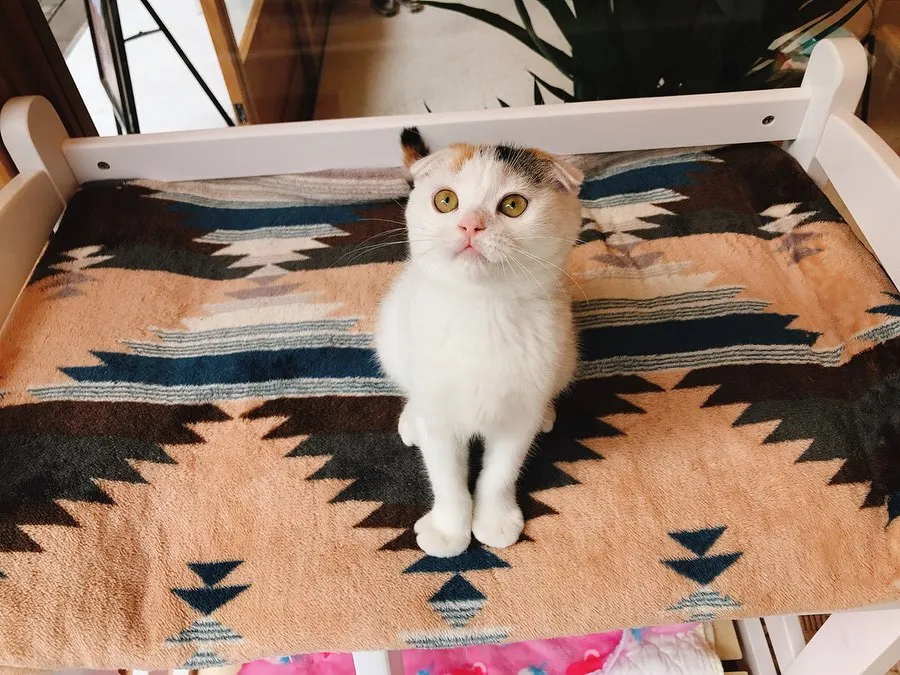 投稿の写真1