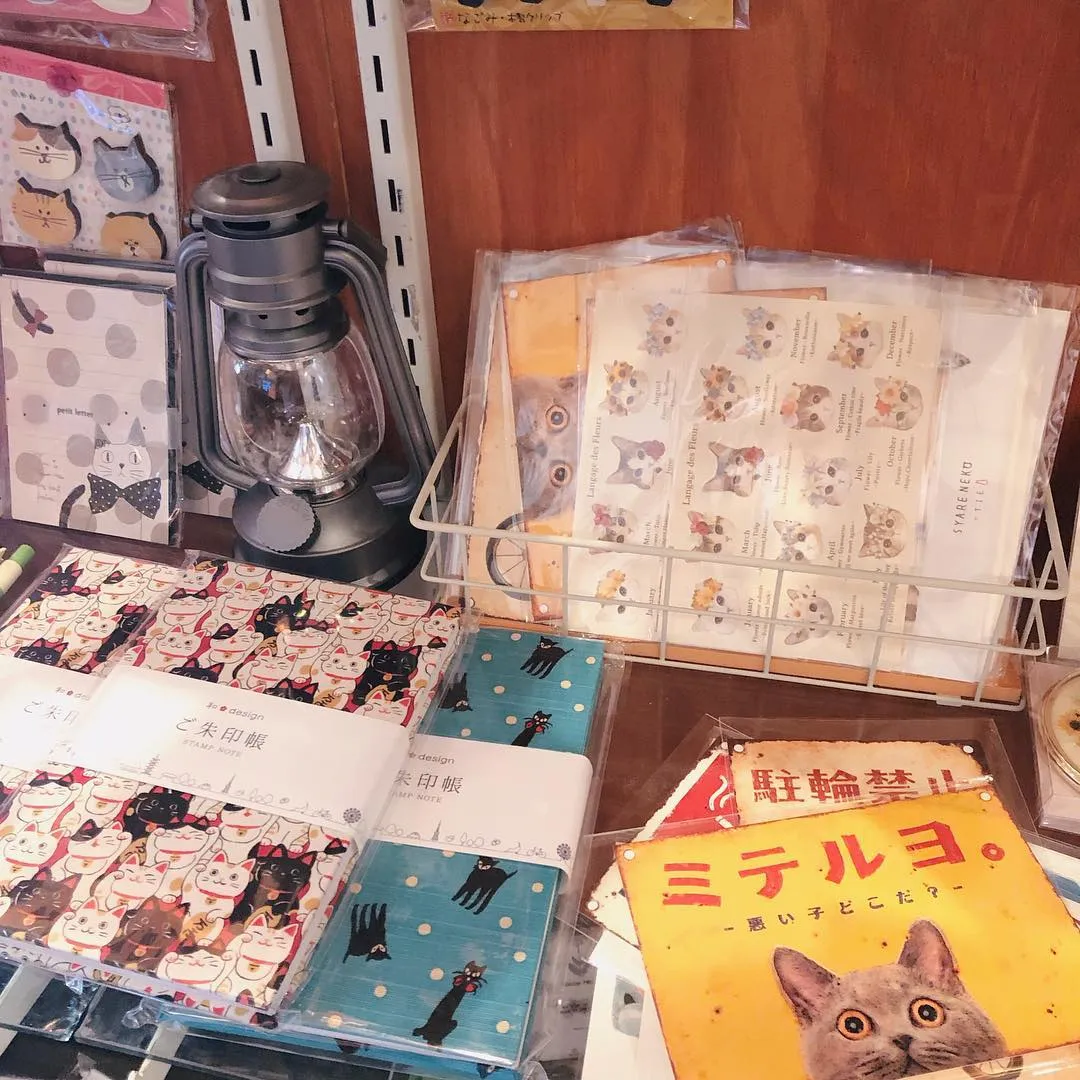 投稿の写真2