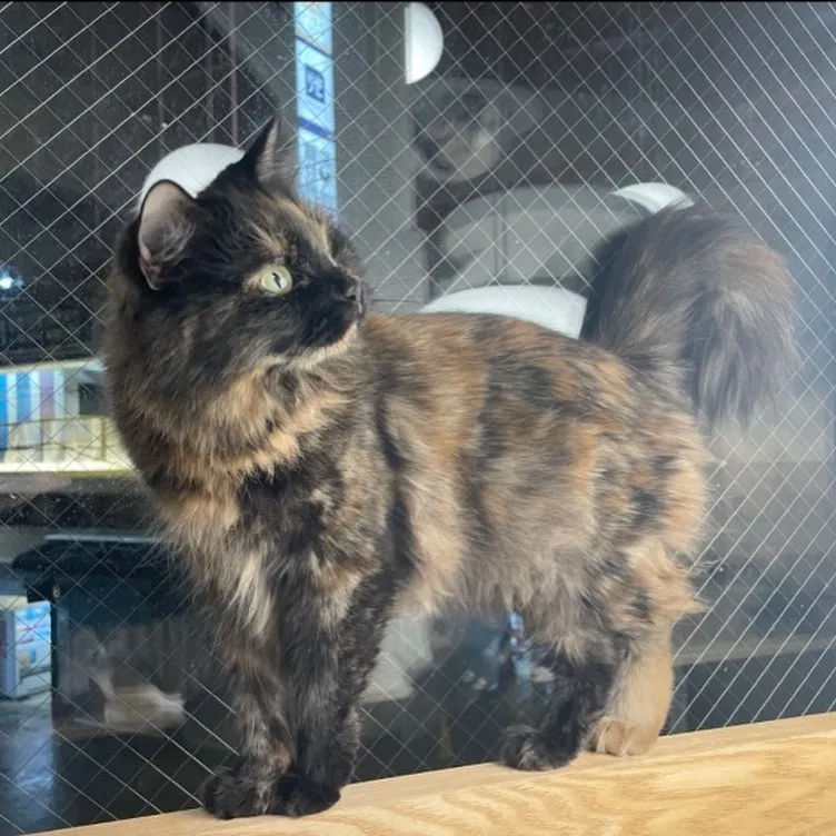 投稿の写真4