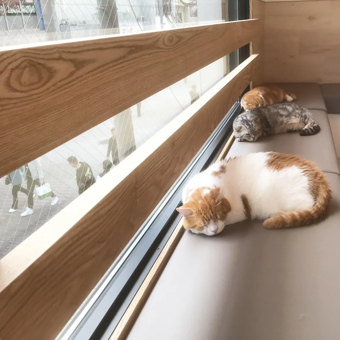 投稿の写真3